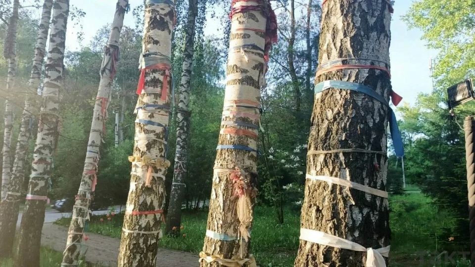 Доброе утро, друзья! Последний день весны в Курском крае обещает быть достаточно прохладным (+14 градусов) с перерывами на небольшой дождь