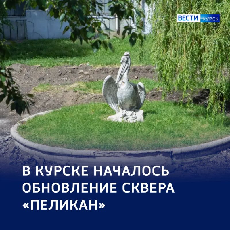 Новая жизнь «Пеликана»: в Курске начали благоустройство сквера