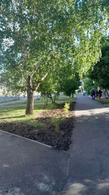 В Курске высадили деревья в месте незаконной торговли на Бойцов 9-й Дивизии В Курске высадили деревья в месте незаконной торговли на Бойцов 9-й Дивизии