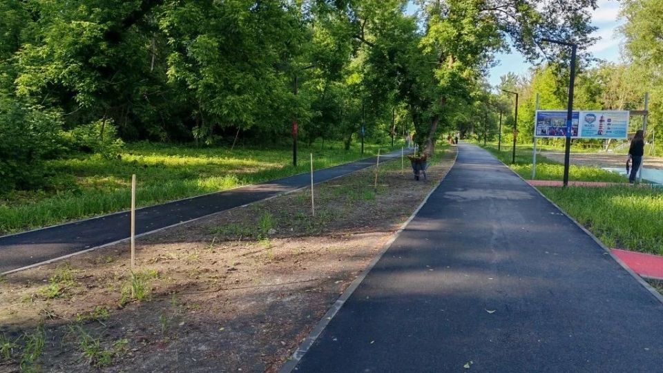 На Боевке в Курске высадят 100 саженцев ивы На Боевке в Курске высадят 100 саженцев ивы