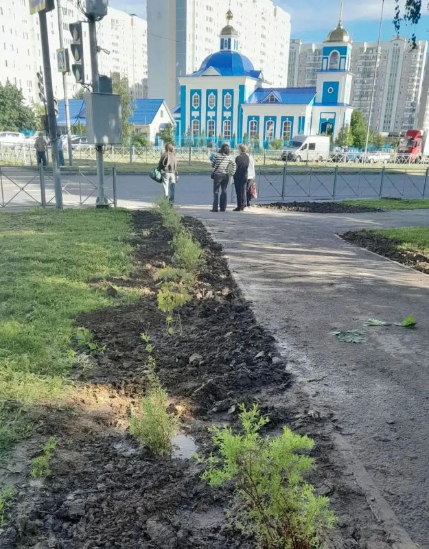 В Курске высадили деревья в месте незаконной торговли на Бойцов 9-й Дивизии В Курске высадили деревья в месте незаконной торговли на Бойцов 9-й Дивизии