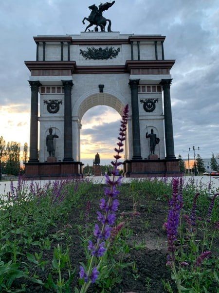 В парке «Патриот» саженцы деревьев высадили в бетон