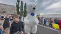 СТОП-кадр. Сегодня в День защиты детей на Полугоре в Курске проходит благотворительный фестиваль