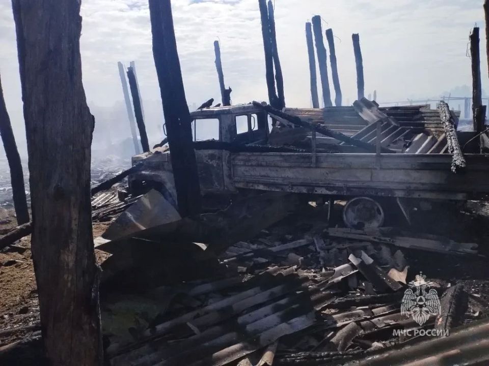 В Золотухинском районе сгорели более 60 овец и поросят В Золотухинском районе сгорели более 60 овец и поросят
