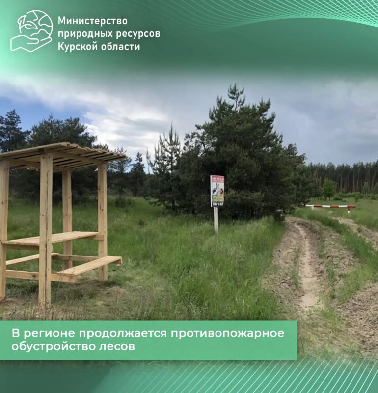 В регионе продолжается противопожарное обустройство лесов