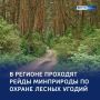 Браконьерский счет: 8 протоколов — за неделю