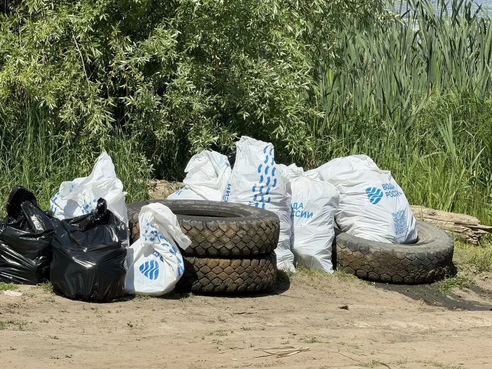 Волонтёры очистили берег Сейма от мусора Волонтёры очистили берег Сейма от мусора