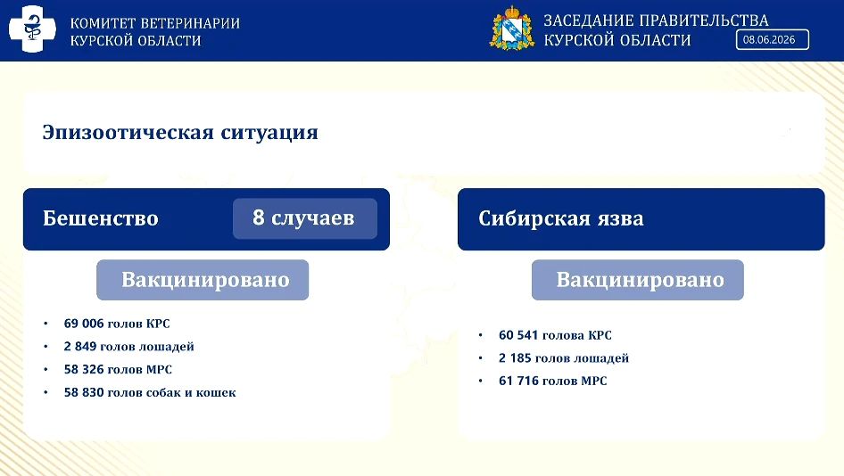 В Курской области с начала года зарегистрировали восемь случаев бешенства