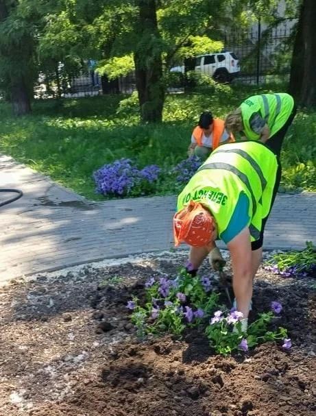 На Ермошкином озере в Курске высадили более 16 тысяч цветов На Ермошкином озере в Курске высадили более 16 тысяч цветов