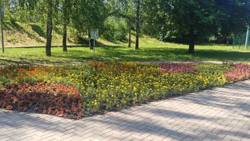 На Ермошкином озере в Курске высадили более 16 тысяч цветов На Ермошкином озере в Курске высадили более 16 тысяч цветов