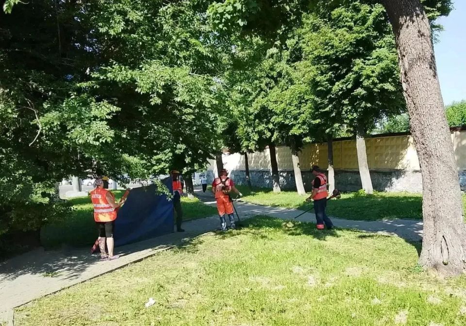 В Курске коммунальщики косят газон вдоль дорог и убирают мусор с тротуаров В Курске коммунальщики косят газон вдоль дорог и убирают мусор с тротуаров