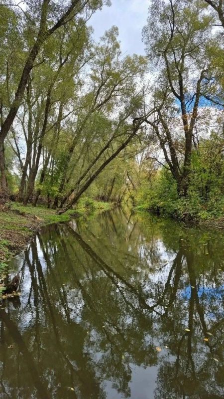 В музее-усадьбе Афанасия Афанасьевича Фета продолжается развитие туристической инфраструктуры В музее-усадьбе Афанасия Афанасьевича Фета продолжается развитие туристической инфраструктуры