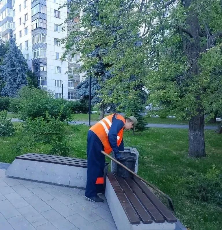 В Курске на озере «Ермошкино» озере высадили 16200 цветов В Курске на озере «Ермошкино» озере высадили 16200 цветов