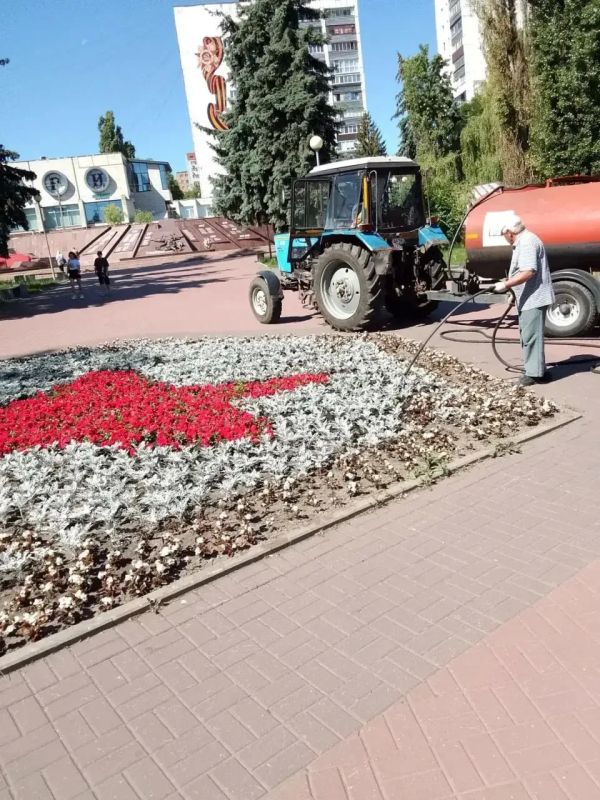 В Курске на озере «Ермошкино» озере высадили 16200 цветов В Курске на озере «Ермошкино» озере высадили 16200 цветов