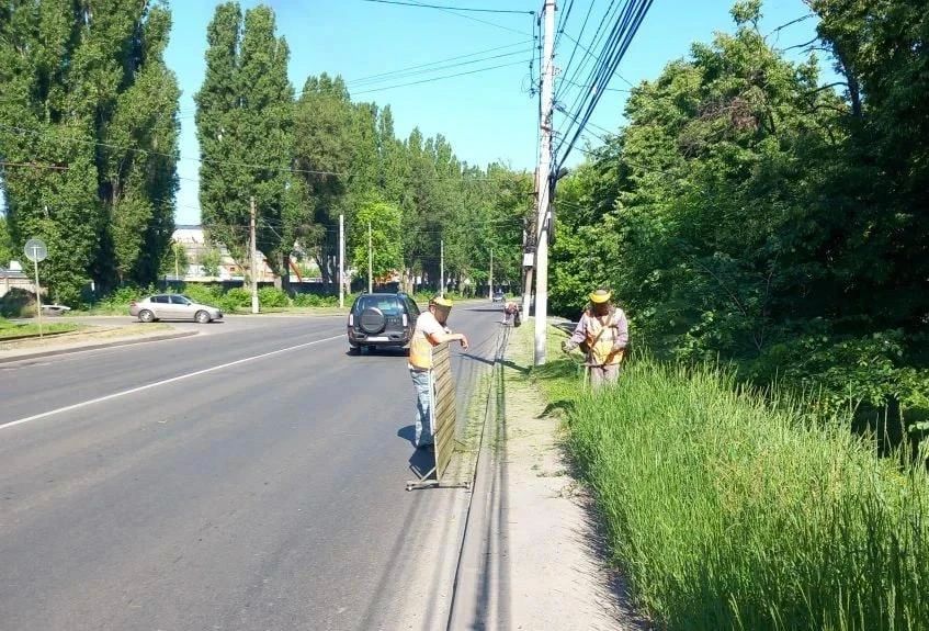 В Курске коммунальщики косят газон вдоль дорог и убирают мусор с тротуаров В Курске коммунальщики косят газон вдоль дорог и убирают мусор с тротуаров