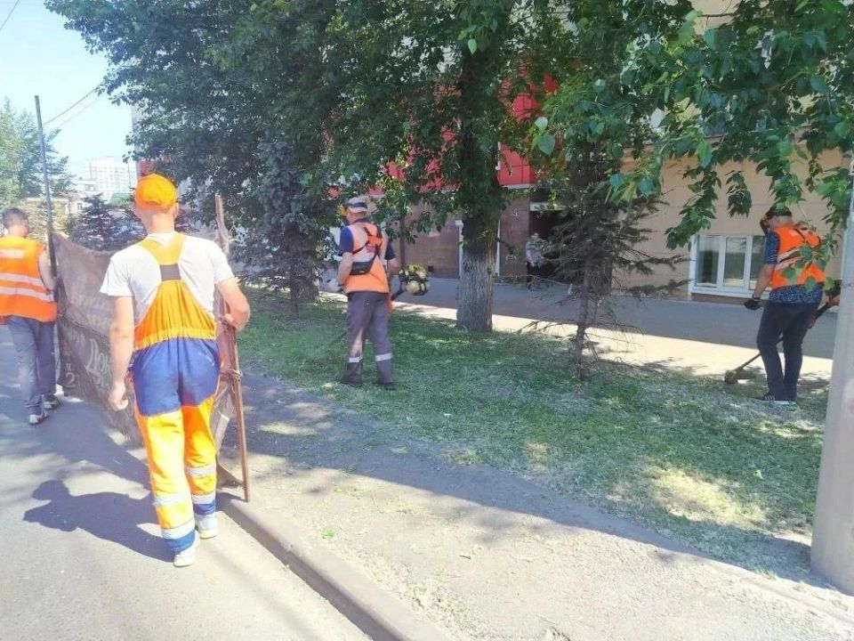 В Курске коммунальщики косят газон вдоль дорог и убирают мусор с тротуаров В Курске коммунальщики косят газон вдоль дорог и убирают мусор с тротуаров