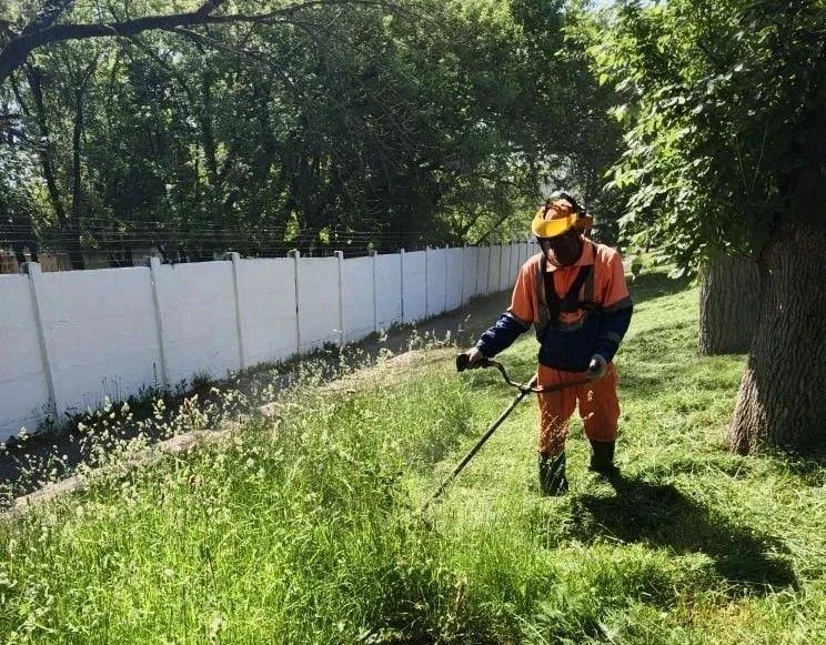 В Курске отремонтируют плитку на пересечении улиц Дзержинского и Белинского В Курске отремонтируют плитку на пересечении улиц Дзержинского и Белинского