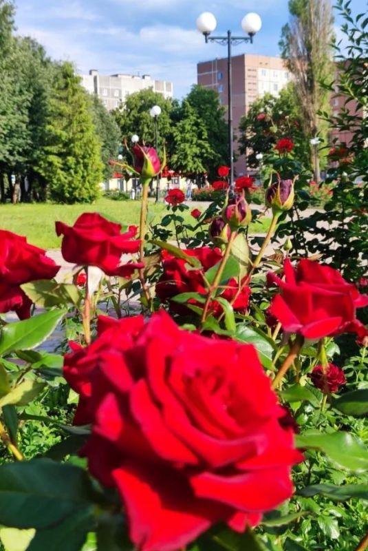 Игорь Корпунков: Городские власти и неравнодушные граждане изо дня в день прилагают усилия, чтобы сделать наш город лучше и краше! Игорь Корпунков: Городские власти и неравнодушные граждане изо дня в день прилагают усилия, чтобы сделать наш город лучше и краше!