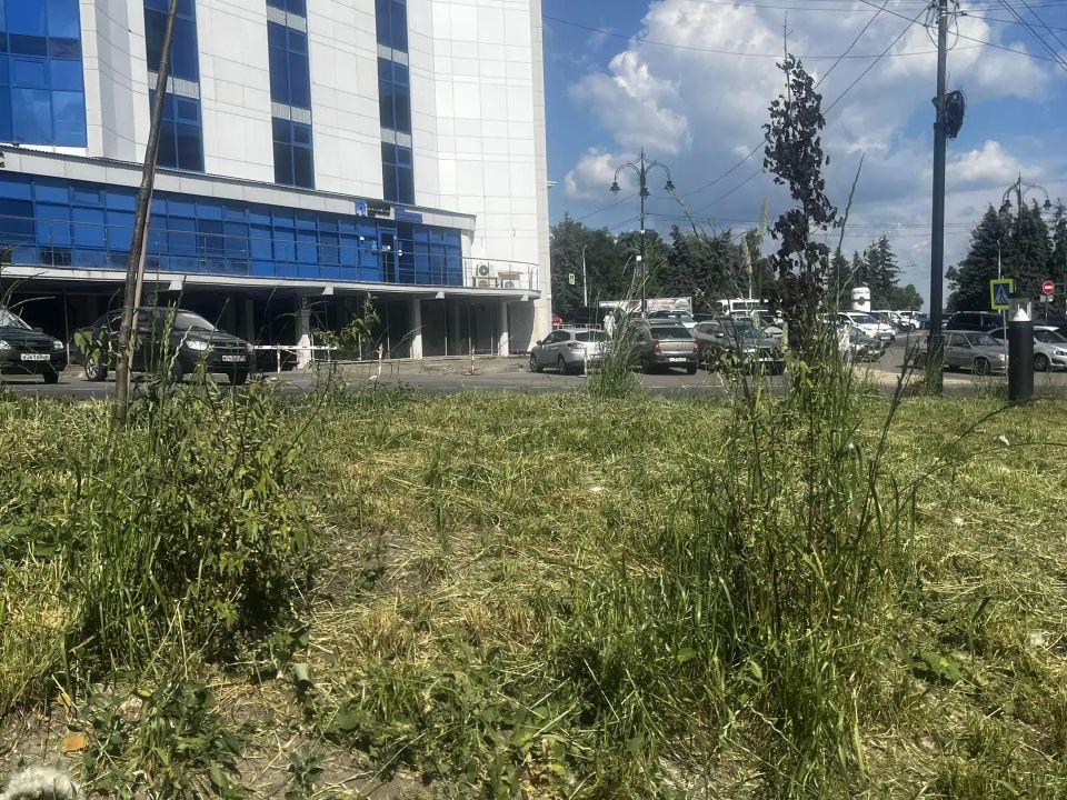В последнее время в Курске особую актуальность приобрела тема покоса травы В последнее время в Курске особую актуальность приобрела тема покоса травы