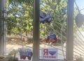 ���������� ����� ������ �� ������� ������� �������������� � ������������� ����� ����� ������