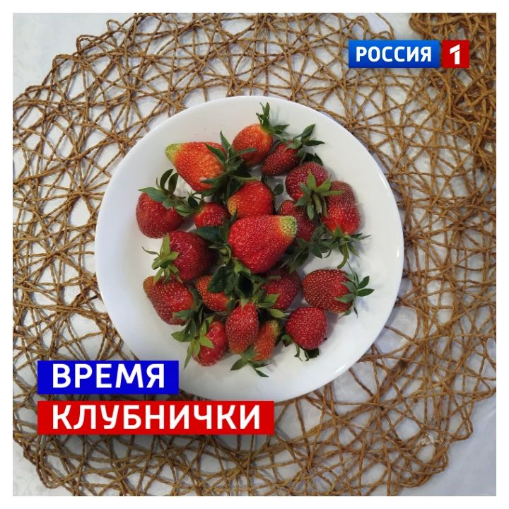 11 июня, четверг. Сегодня конец рабочей недели
