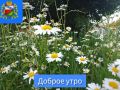 ДОБРОЕ УТРО. Желаем всем жителям Фатежского района удачного четверга!