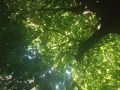 Доброе жаркое летнее утро всем! +29 градусов — один из самых высоких показателей за это лето