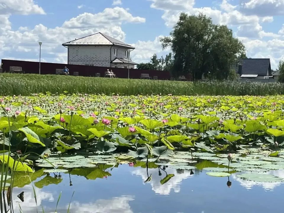 Сегодня Курская область отмечает 92-летие со дня образования Сегодня Курская область отмечает 92-летие со дня образования