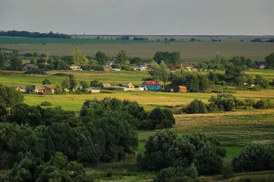 Друзья, сегодня мы отмечаем День образования Курской области Друзья, сегодня мы отмечаем День образования Курской области