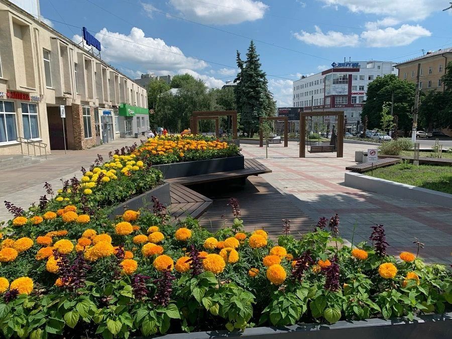 В Курской области 14 июня ожидается дождь и до +25 градусов