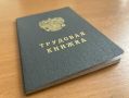 В Курской области средняя зарплата превысила 79 тысяч рублей
