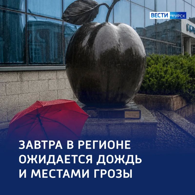 «Белогривые лошадки»: прогноз погоды в регионе на завтра