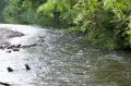 В Курской области за две недели купального сезона утонули пять человек