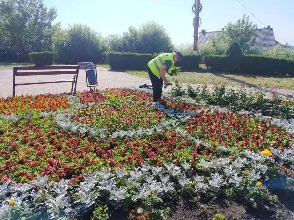 В Курске в рамках муниципального контракта по содержанию зеленых насаждений активно ведутся плановые работы В Курске в рамках муниципального контракта по содержанию зеленых насаждений активно ведутся плановые работы