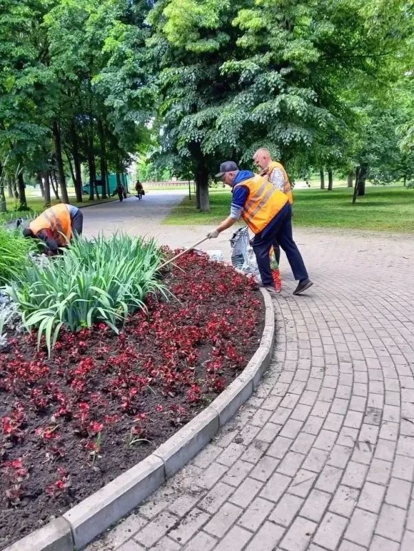 В Курске в рамках муниципального контракта по содержанию зеленых насаждений активно ведутся плановые работы В Курске в рамках муниципального контракта по содержанию зеленых насаждений активно ведутся плановые работы