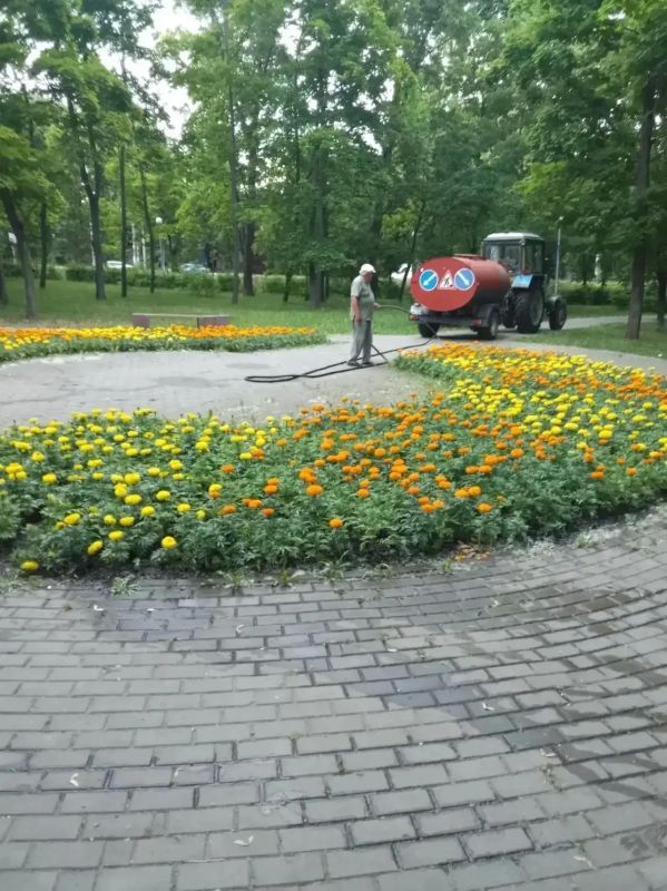 В Курске в рамках муниципального контракта по содержанию зеленых насаждений активно ведутся плановые работы В Курске в рамках муниципального контракта по содержанию зеленых насаждений активно ведутся плановые работы