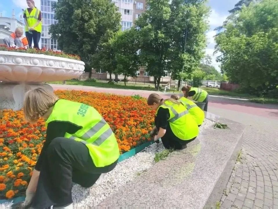 В Курске в рамках муниципального контракта по содержанию зеленых насаждений активно ведутся плановые работы В Курске в рамках муниципального контракта по содержанию зеленых насаждений активно ведутся плановые работы