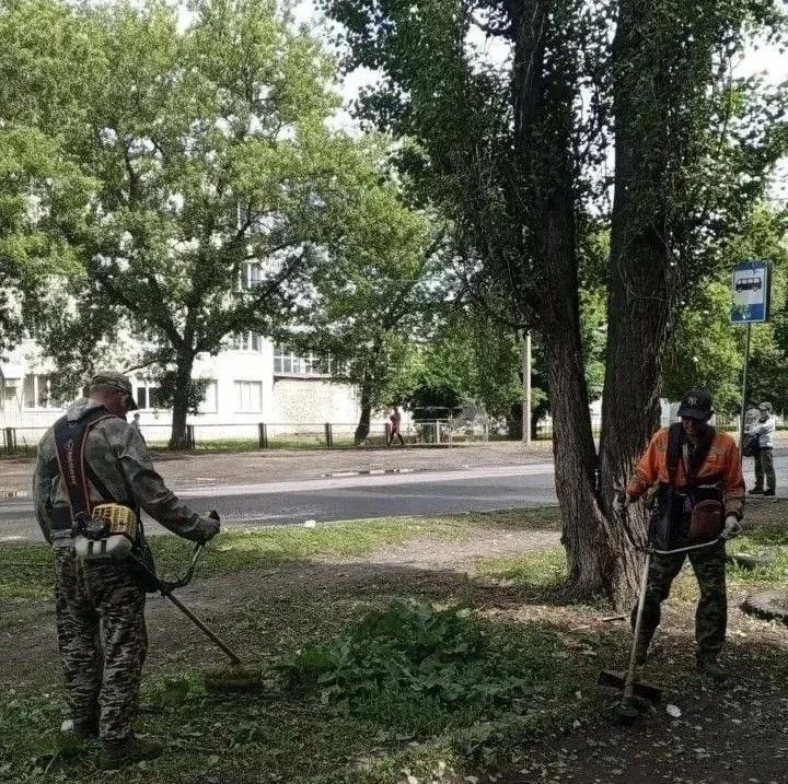 В Курске на Станционной привели в порядок остановку В Курске на Станционной привели в порядок остановку