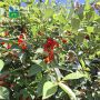 Доброе утро!. Сегодня облачно с прояснениями