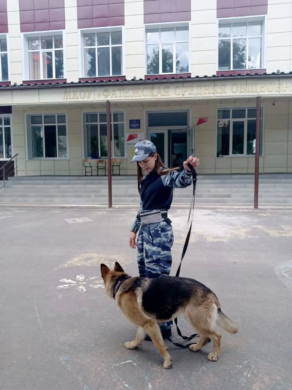 В пришкольном лагере «Радуга» МКОУ «Фатежская СОШ № 2» состоялась увлекательная встреча с кинологом Свинцицкой Ю.А. и её служебной собакой по кличке Альфа В пришкольном лагере «Радуга» МКОУ «Фатежская СОШ № 2» состоялась увлекательная встреча с кинологом Свинцицкой Ю.А. и её служебной собакой по кличке Альфа