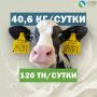 Побиты два рекорда на ЖК КРС «Троицкий» в Курской области