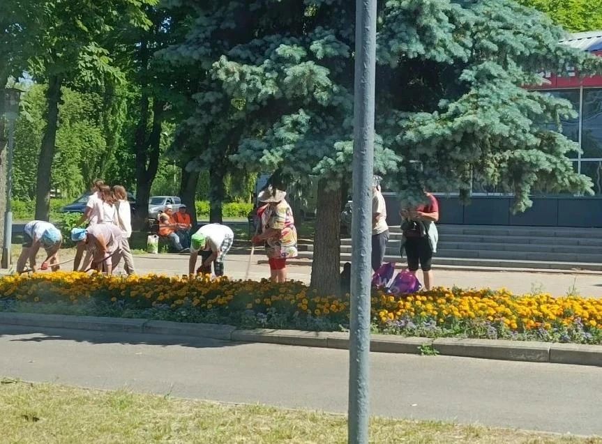 МКУ «ГКС» продолжает планомерную работу по поддержанию чистоты, порядка и эстетической привлекательности городской среды МКУ «ГКС» продолжает планомерную работу по поддержанию чистоты, порядка и эстетической привлекательности городской среды