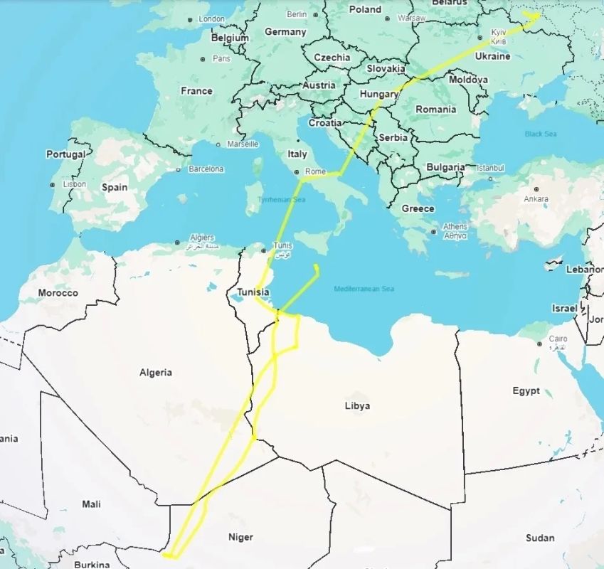 В Курской области нашли GPS-трекер совы, которая прилетела с Мальты В Курской области нашли GPS-трекер совы, которая прилетела с Мальты