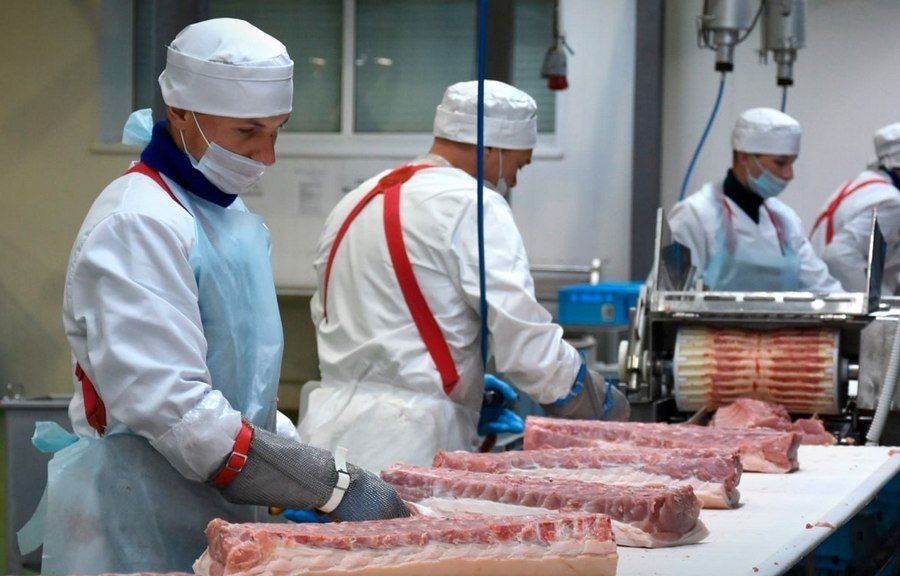 Предприятие из Железногорского района Курской области впервые поставило свинину на Филиппины