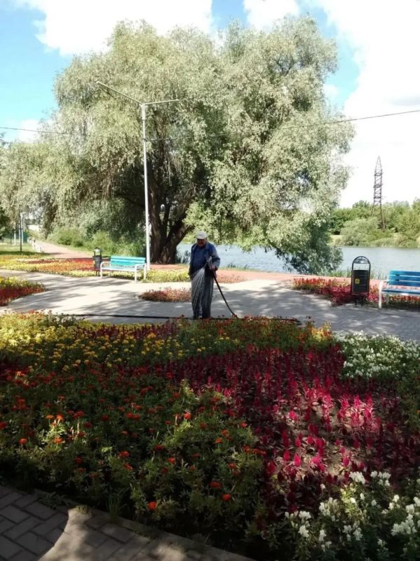 В Курске высадили новые цветы в скверах Рокоссовского, на Звездной и Майском бульваре