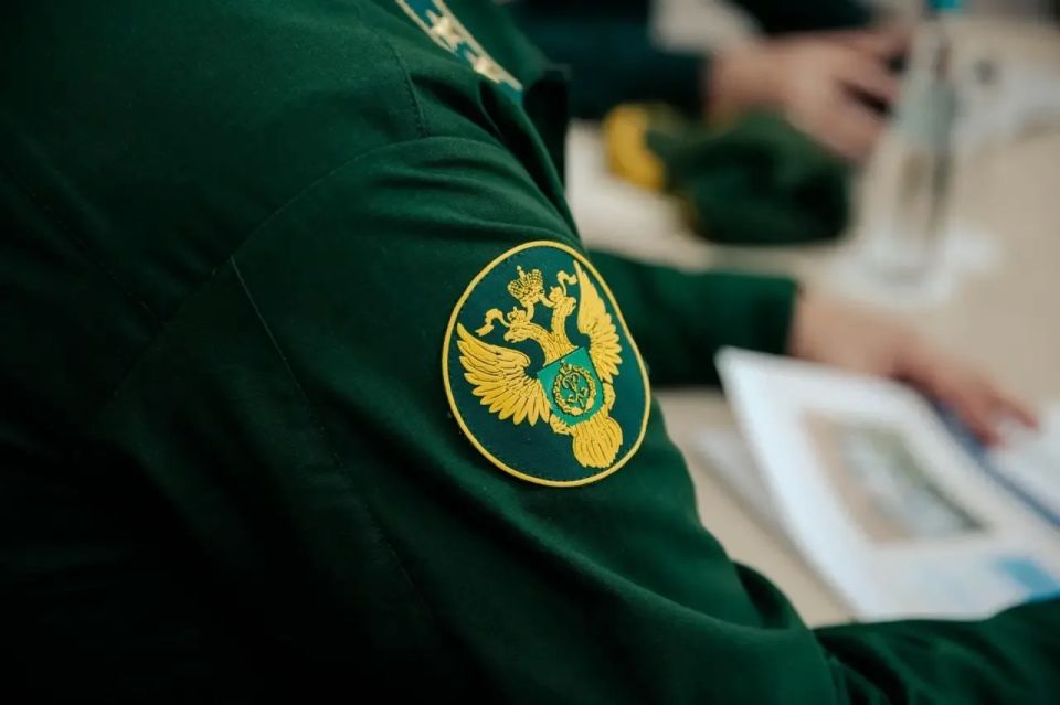Курскую область посетил руководитель Федерального агентства лесного хозяйства Иван Советников Курскую область посетил руководитель Федерального агентства лесного хозяйства Иван Советников
