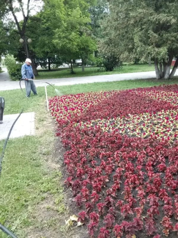 В Курске территории парков и скверов приводят в порядок 32 человека В Курске территории парков и скверов приводят в порядок 32 человека