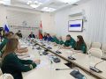 Губернатор Александр Хинштейн и руководитель Рослесхоза Иван Советников обсудили текущее состояние лесного фонда Курской области и наметили дальнейшие планы