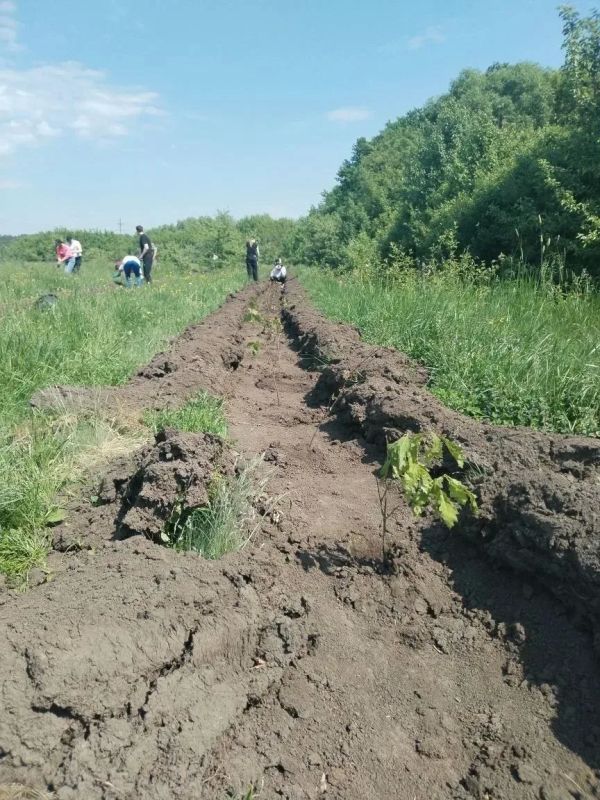 Подведены итоги Дней защиты от экологической опасности на территории Курской области в 2026 году Подведены итоги Дней защиты от экологической опасности на территории Курской области в 2026 году