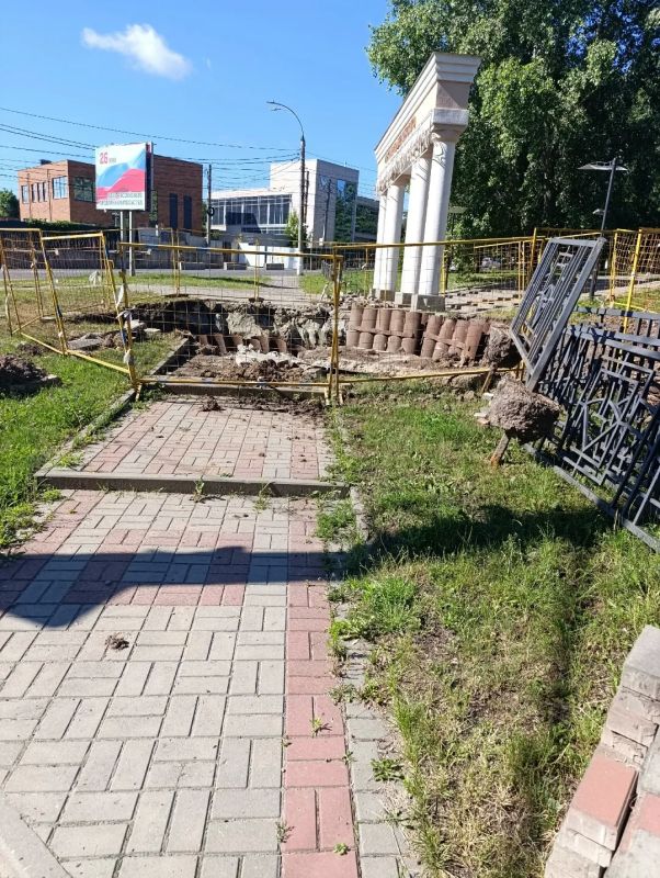 В Курске в парке им. Дзержинского раскоп вызвал гибель деревьев В Курске в парке им. Дзержинского раскоп вызвал гибель деревьев